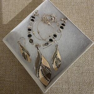 Elegant Silver and Black Necklace and Earring Set